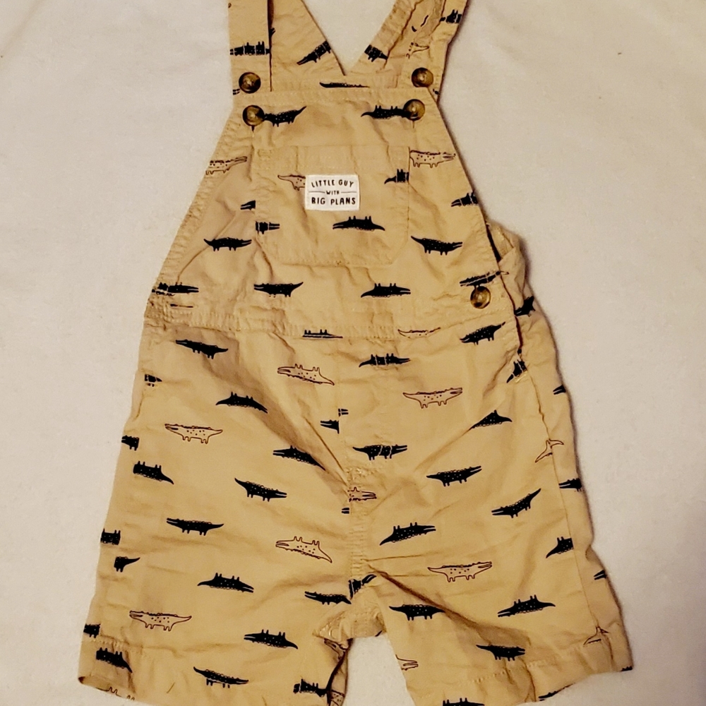 Carters Overalls